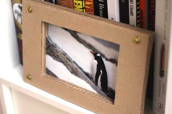 3D penguin