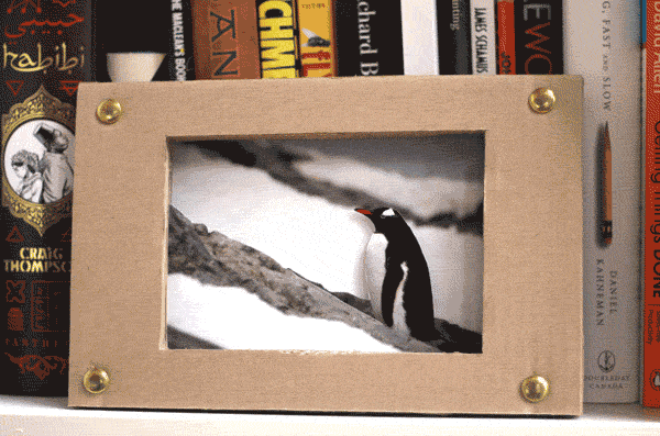 Penguin